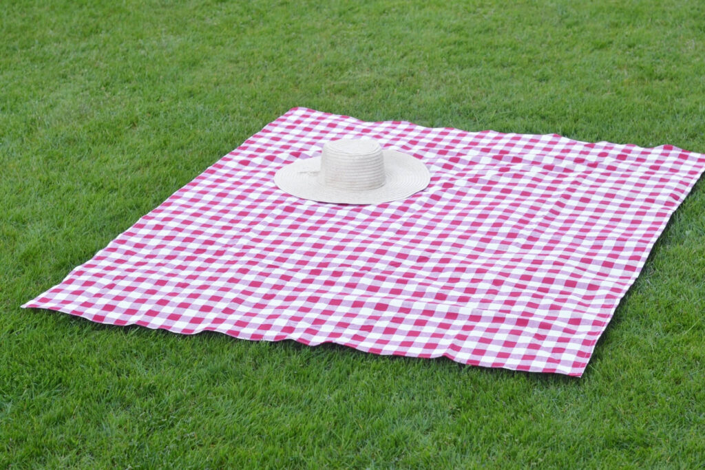 picnic blanket(ˈpɪknɪk ˈblæŋkɪt) .