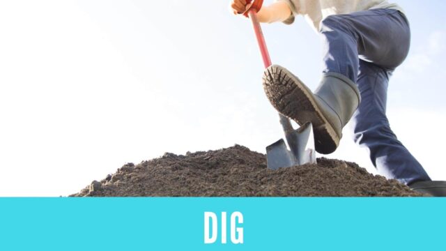 英語 動詞 Dig の使い方 Answer Key 金沢優のイメージで話せる英語 英会話の学び方
