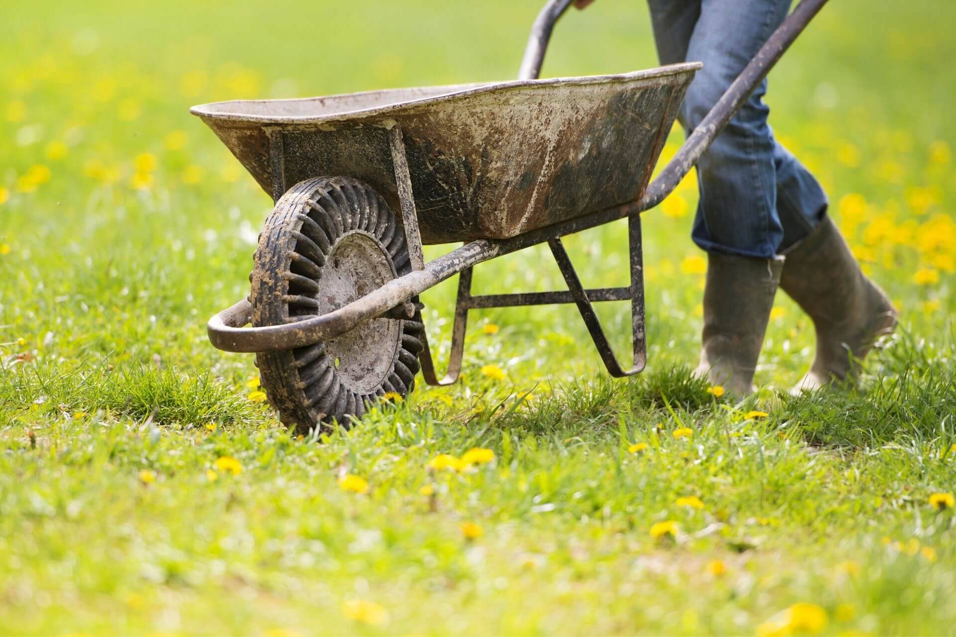英語 秋の名詞フラッシュカード Fall Autumn 金沢優のイメージで話せる英語 英会話の学び方